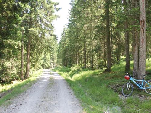 Appartement Cosy apartment near the Halblech ski area in the Allg u  Trauchgau