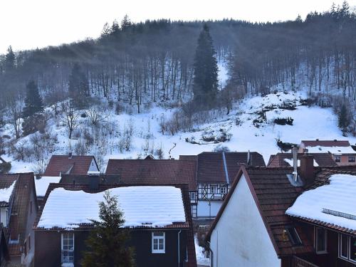 Cosy apartment near the ski area in Zorge Zorge allemagne