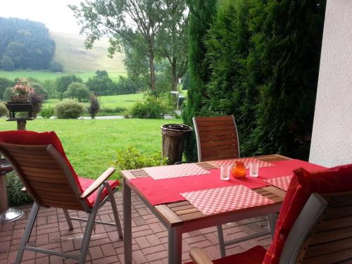 Cosy apartment over Usseln with private covered terrace Willingen allemagne