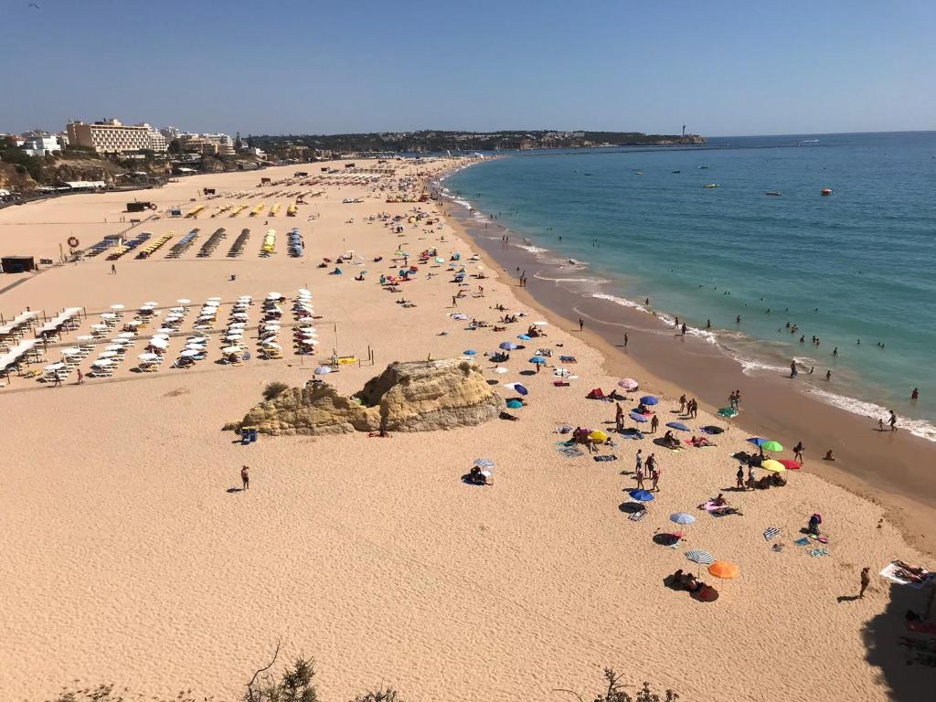 Appartement Cosy Apartment pool in Praia Da Rocha Portimao , 8500-510 Portimão