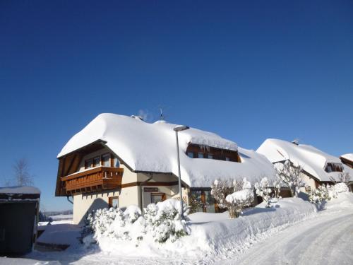 Cosy apartment with balcony in the beautiful Black Forest Furtwangen im Schwarzwald allemagne
