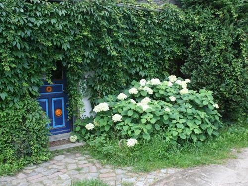 Appartement Cosy Child-friendly Apartment in Retschow  Retschow