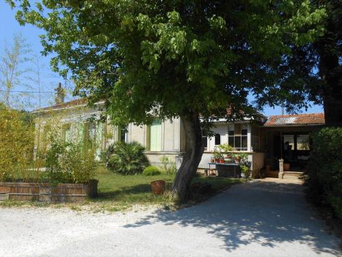 Appartement Cosy Cottage Yucca 22 Avenue de l'Esteyrolle Saint-Médard-dʼEyrans