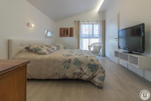 B&B / Chambre d'hôtes COSY LODGE TOULOUSE 24 Rue René Nelli Toulouse