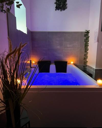 COSY SPA Saint-Denis france