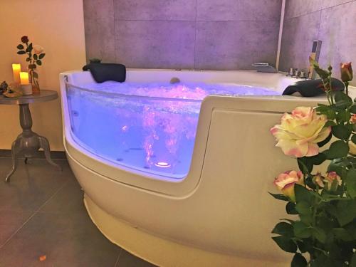 COSY & SPA Appartement luxe JACUZZI \ Avignon france