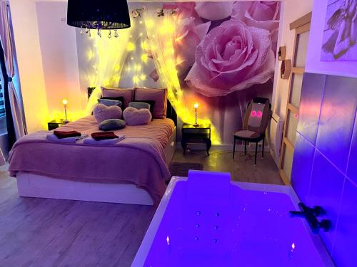 COSY & SPA Appartement Luxe JACUZZI SAUNA Suite Cristal Avignon france