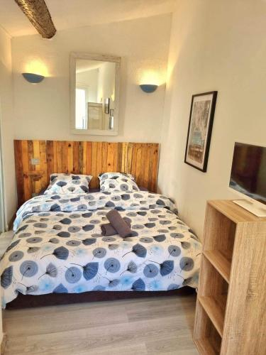 Appartement Cosy studio hyper centre 14 rue sureaux Perpignan