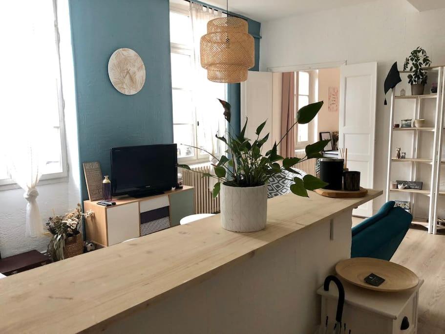 Appartement cosy, une chambre, hyper centre à Perpignan 35 Rue Grande la Réal, 66100 Perpignan