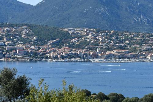 Appartement Cosy vue mer Route d'olmeto Quartier les Cannes Olmeto