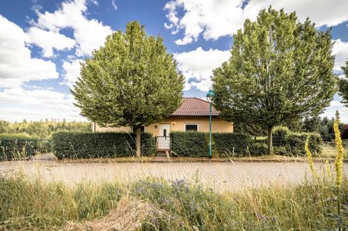 Cottage by the meadow, fir Tanne allemagne