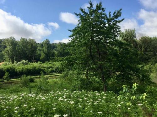 Maison de vacances Cottage chaleureux situé en pleine nature ! 7, place de l'Eglise Vuillery