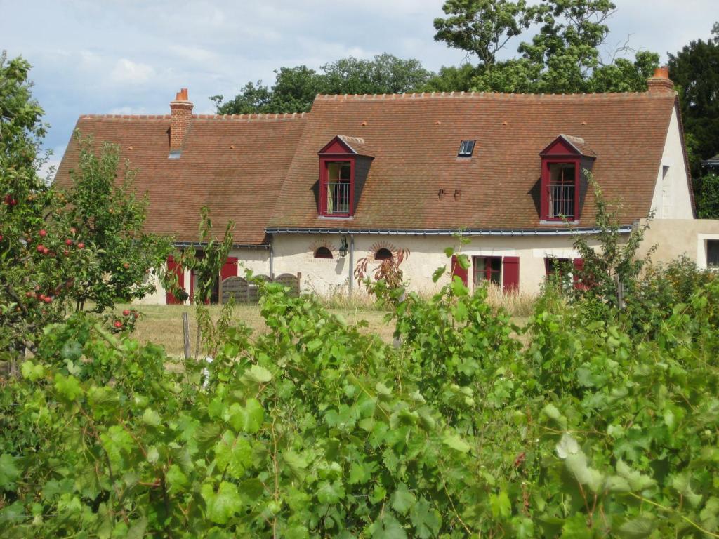 Maison de vacances Cottage du vigneron 12 Rue de la Meslerie, 37210 Vernou-sur-Brenne