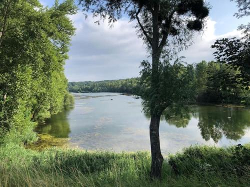 Maison de vacances Country house - 5 mns from Fontainebleau 15 Rue du bas Samoreau Samoreau