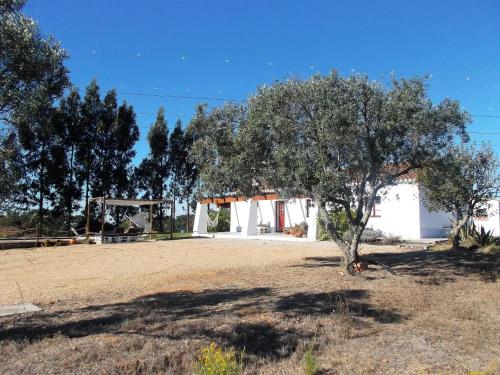 Maison de vacances Courela do Salgueiro Estrada Nacional 120 Km60 Vale Seco Carocha