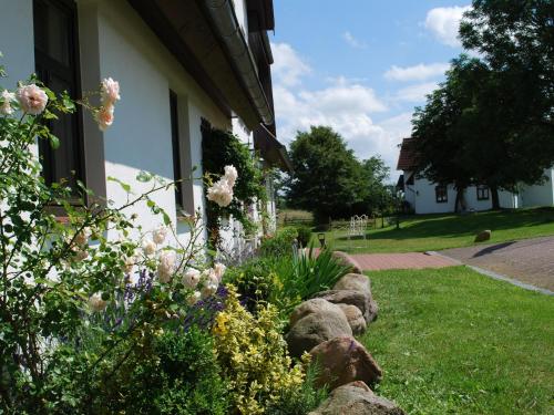 Appartement Cozy Apartment in Dargun Mecklenburg with Swimming Pool  Barlin