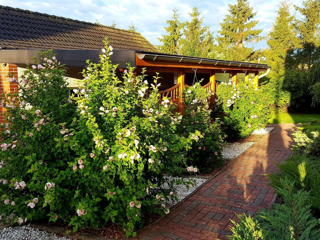 Appartement Cozy Apartment in Satow Kuhlungsborn and Doberan with garden , 18239 Satow