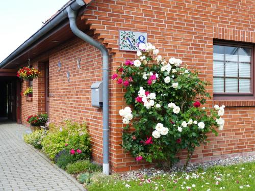 Appartement Cozy Apartment located in Rovershagen with Garden  Rövershagen