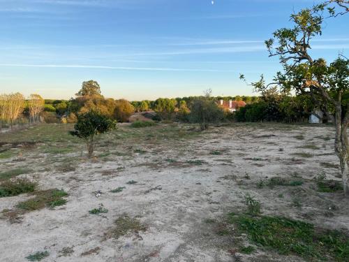 Maison de vacances Cozy farm house in the countryside Rua Gramansinho 36 Monte das Figueiras de Lavre