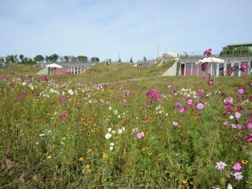 Cozy holiday home in hilly landscape near Brive Sainte-Féréole france