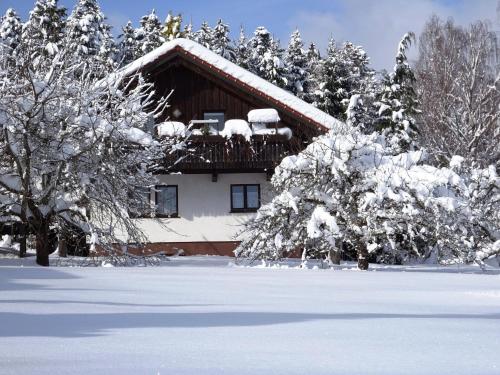 Cozy Holiday Home in Lo burg near Ski Area Loßburg allemagne