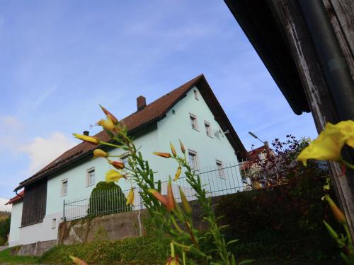 Cozy Holiday Home in Stadlern near Ski Slopes Stadlern allemagne