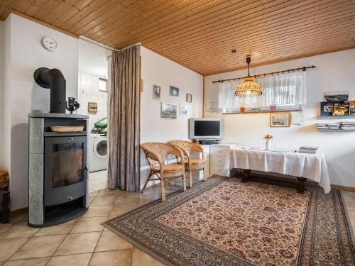 Cozy holiday home in the Harz Mountains with fireplace and garden Harzgerode allemagne
