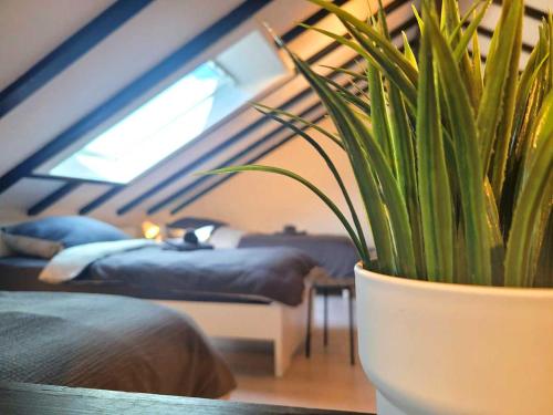 Cozy & Modern Flat Gedern allemagne