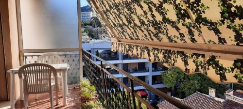 Croisette immo 1 chambre Cirodde Cannes france