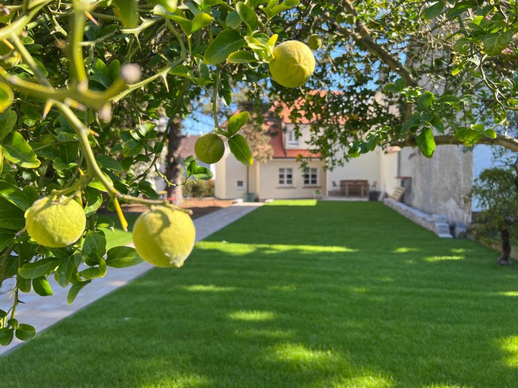 Maison de vacances Das \ 20 Pfarrer-Seiberz-Straße, 55411 Bingen am Rhein