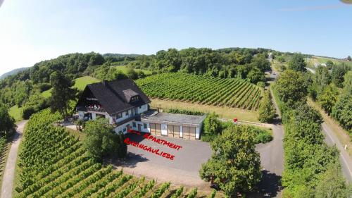 DAS Apartment am Weinberg Geisenheim allemagne