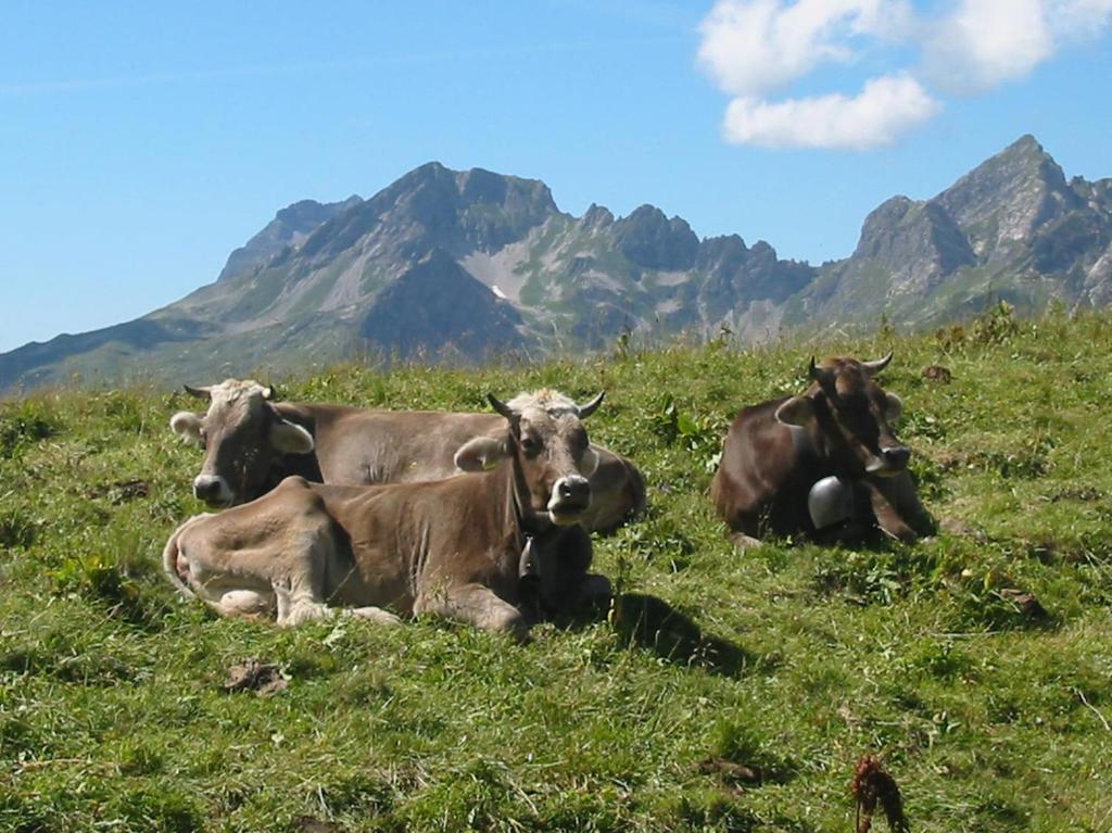 Maison de vacances Das Ferienhaus Fischen Weiherkopfweg 8a, 87538 Fischen im Allgäu