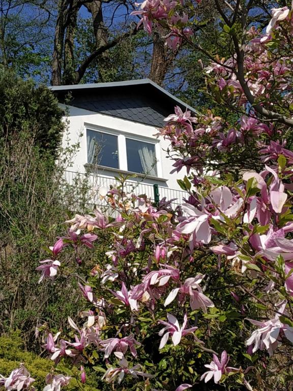 Maison de vacances Das Ferienhaus mit Aussicht Oberleite 9, 01796 Pirna