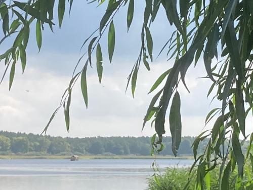 Bateau-hôtel Das Floß - Biberspur Nordring Brandebourg-sur-la-Havel