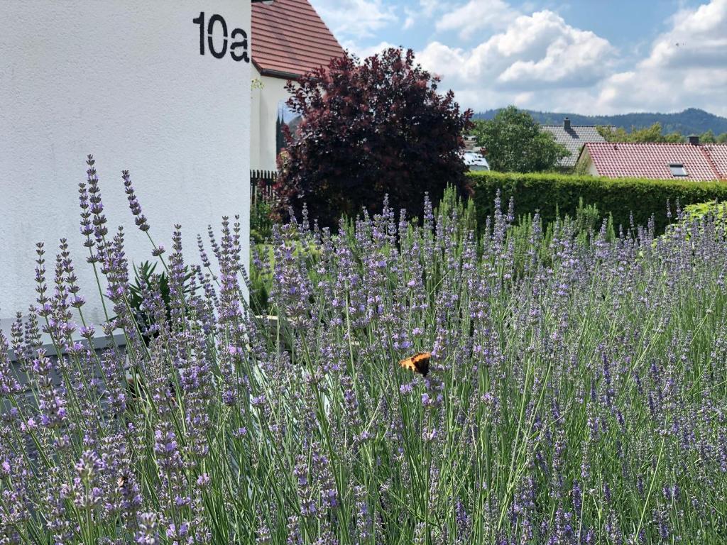 Maison de vacances Das Haus am Berg Heideweg 18 OT-Höhe. Mit der Hausnummer 10a gegenüber Heideweg 18, 01814 Rathmannsdorf