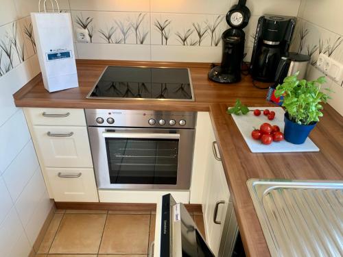 Appartement Das Muschelhaus - FeWo 1 Olsdorfer Str.9 Ording