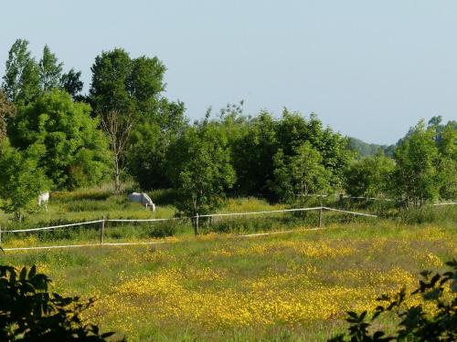 Dat HaddeHuus Wangerland allemagne