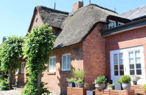 Dat Strandgood Oevenum allemagne