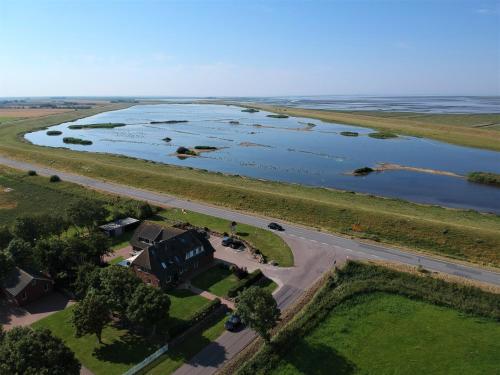 Appartements Deichhus Nordseeliebe direkt am Deich - Nordsee - Dagebüll - Am Vogelreservat Osewoldterkoog 14 Dagebüll