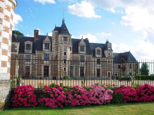 Demeure de 6 chambres avec piscine interieure jacuzzi et jardin clos a Vernou sur Brenne Vernou-sur-Brenne france