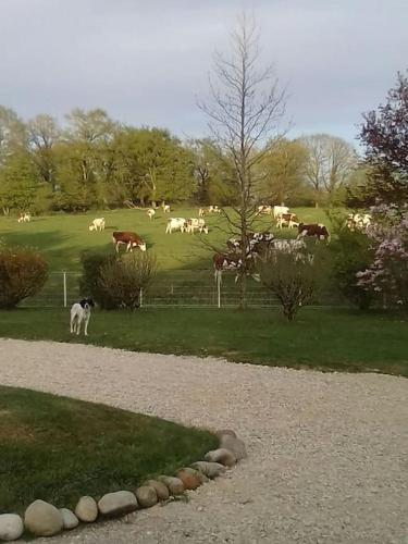 Dépendance pour 1 à 4 pers au calme dans propriété Marboz france