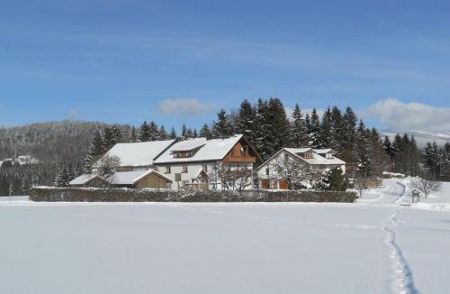 Der Bauernhof Beim Bergler Neureichenau allemagne