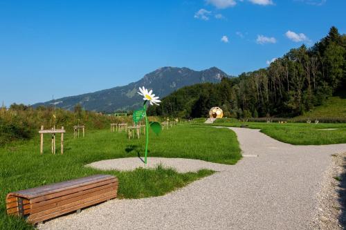 Appartements Der Bienenkorb 18 Altmummen a Blaichach