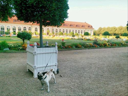 Der Platengarten Ansbach allemagne