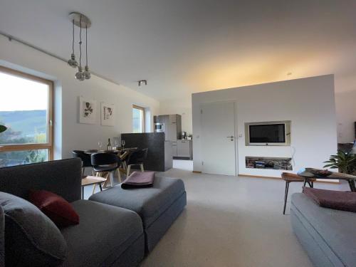 Appartement Design trifft Wein...Urlaub auf dem Weingut 27 Beethovenstraße Köwerich