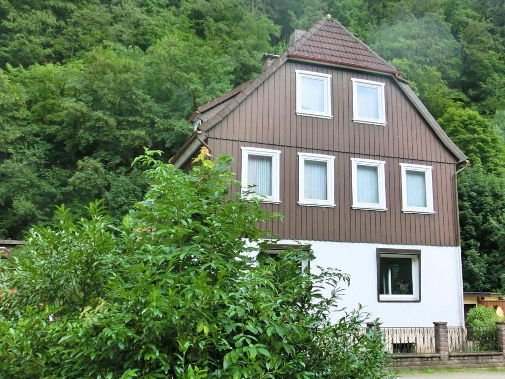 Maison de vacances Detached group house in the Harz region with a fenced garden , 37449 Zorge