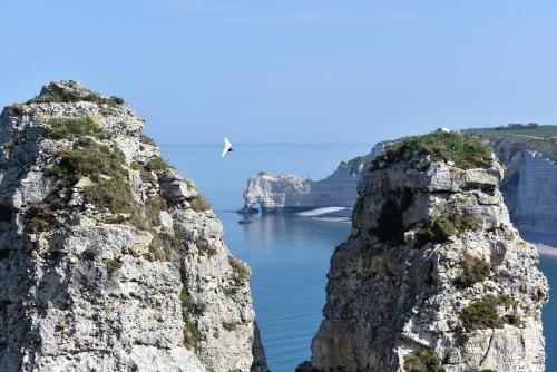 Hôtel Detective Hotel 6, avenue George V Étretat