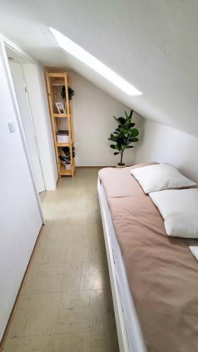 DG R: Helle 40m² 2-Zimmer Wohnung nähe Salzburg Freilassing allemagne