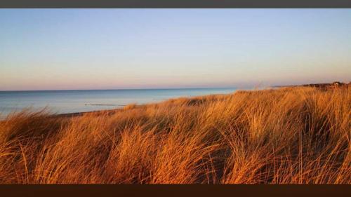 Appartement Die kleine Acht - direkt am Strand 2 Waldweg Ebenerdig Dierhagen