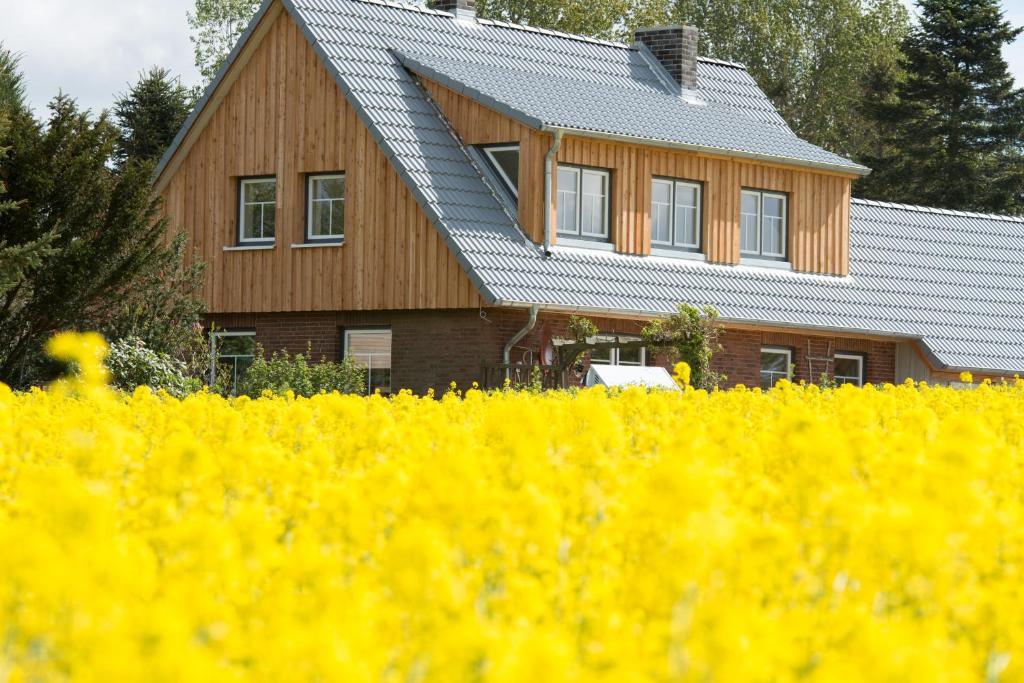 Maison de vacances Die Kleine Villa Dörpstraat 3, 24354 Zimmert